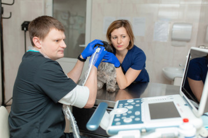 Agendamento de Exame de Raio X para Animais Vila Príncipe de Gales - Exame de Sangue para Animais