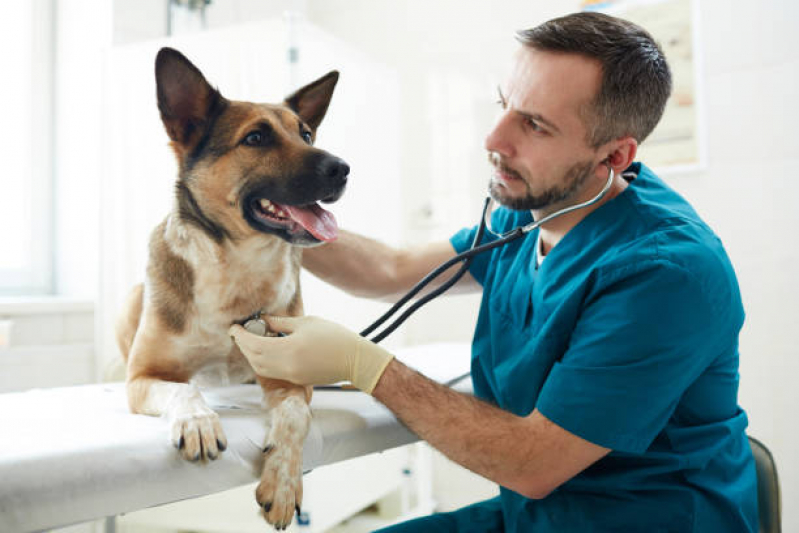 Clínica 24 Horas Veterinária Telefone Vila Guiomar - Clínica Veterinária Especializada em Cães e Gatos