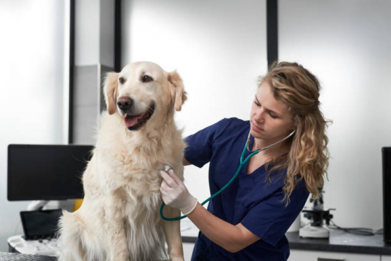 Clínica Veterinária Especializada em Cães e Gatos Parque das Garças - Clínica Veterinária