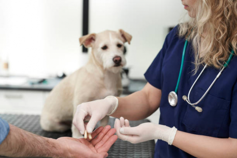 Clínica Veterinária Próximo a Mim Telefone Olímpico - Clínica Veterinária Especializada em Cães e Gatos