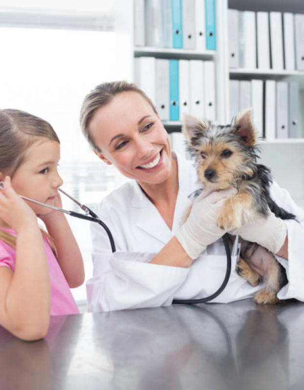 Contato de Clínica Veterinária Mais Próxima Oswaldo Cruz - Clínica Veterinária Especializada em Cães e Gatos