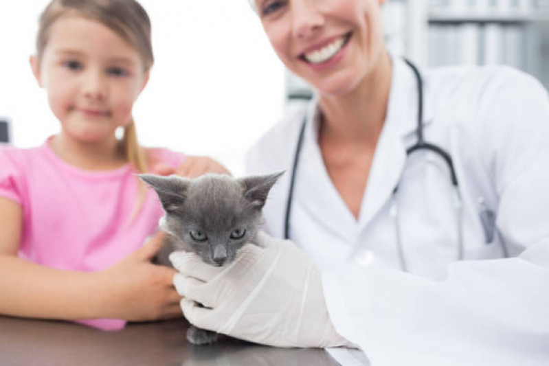 Contato de Clínica Veterinária Próximo a Mim Vila Homero Thon - Clínica Veterinária de Cães e Gatos