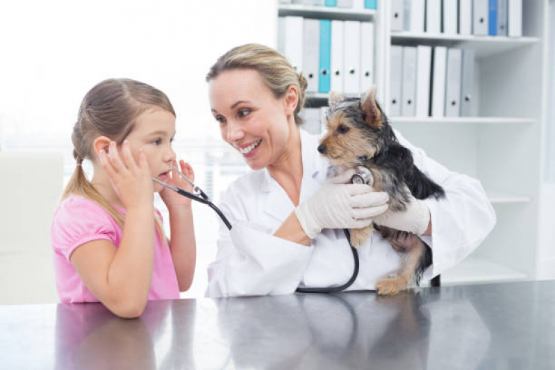 Endereço de Clínica Veterinária Mais Próxima Pinheirinho - Clínica Veterinária de Cães e Gatos