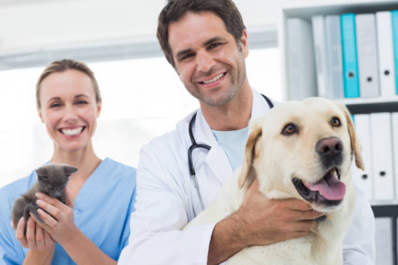 Endereço de Clínica Veterinária Próximo a Mim Vila Alice - Clínica Veterinária Especializada em Cães e Gatos