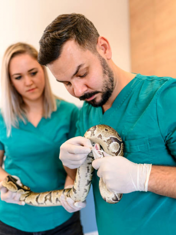 Onde Agendar Consulta de Ortopedia para Animais Silvestres Parque Erasmo Assunção - Consulta de Ortopedia para Animais Silvestres