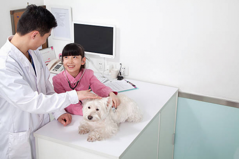 Onde Agendar Exame de Laboratório para Animais Vila Suíça - Exame de Eletrocardiograma Veterinário