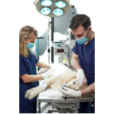 clínica que faz cirurgia com anestesia veterinária Polo Petroquímico de Capuava