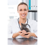 clínica veterinária especializada em cães e gatos telefone Fundação
