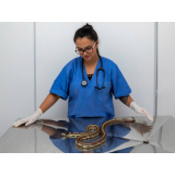 consulta de ortopedia para animais silvestres Condomínio Maracanã