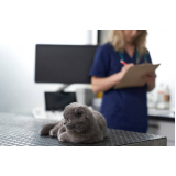 contato de clínica veterinária animal Vila Príncipe de Gales