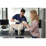 endereço de clínica veterinária popular Vila Suíça